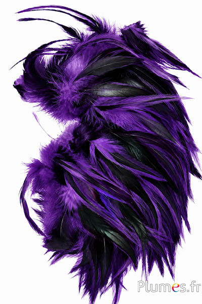 Haan - 10-15 cm -  aubergine